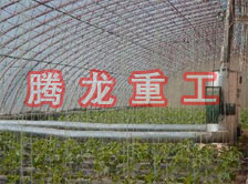 大棚花卉供暖設備、大棚卉采暖設備、大棚花卉取暖設備